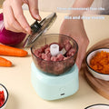 Mini Electric Food Processor